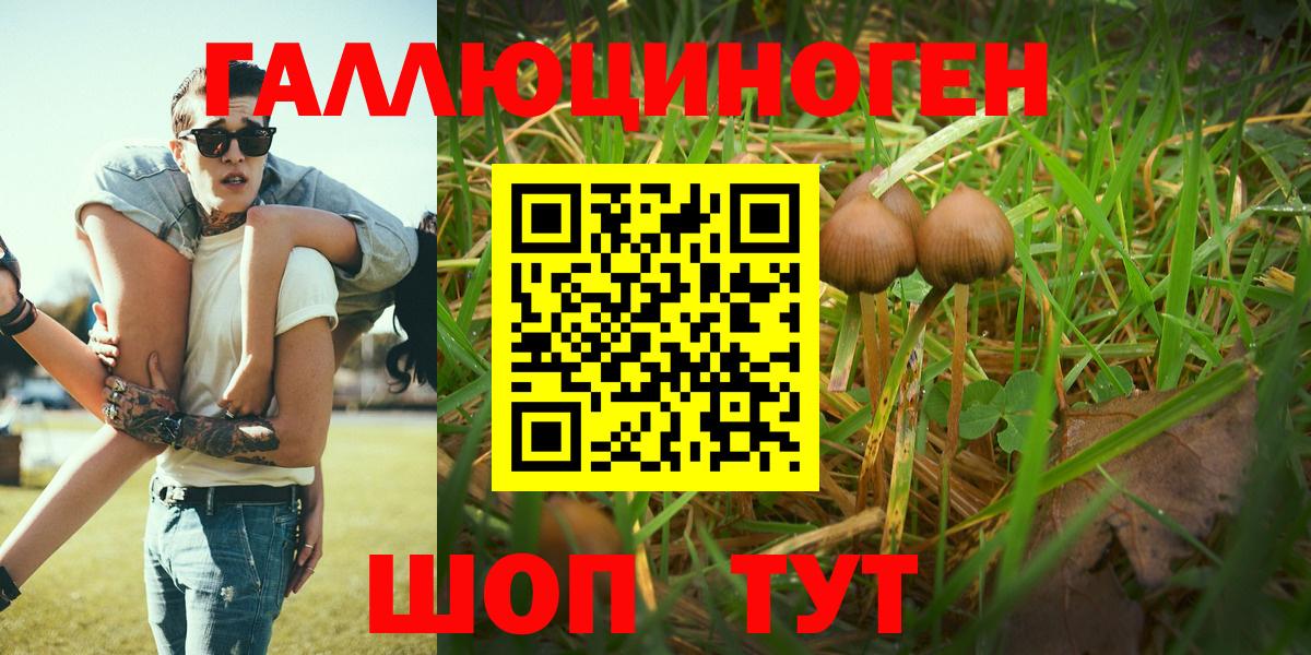 Псилоцибиновые грибы Cubensis Великий Новгород
